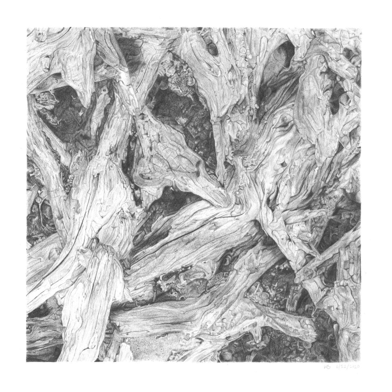 Driftwood 2 Colored Pencil Print on Fine Art Paper — KDB Art Studio